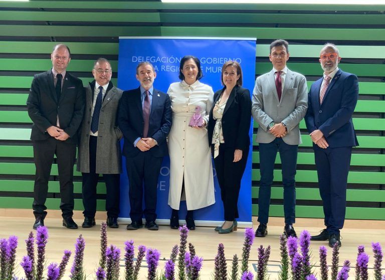 coorm premios meninas delegacion gobierno murcia punto violeta